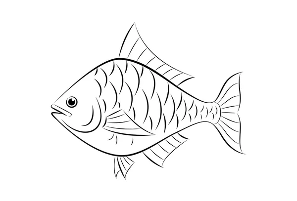 Dibujo de pescado — Vector de stock