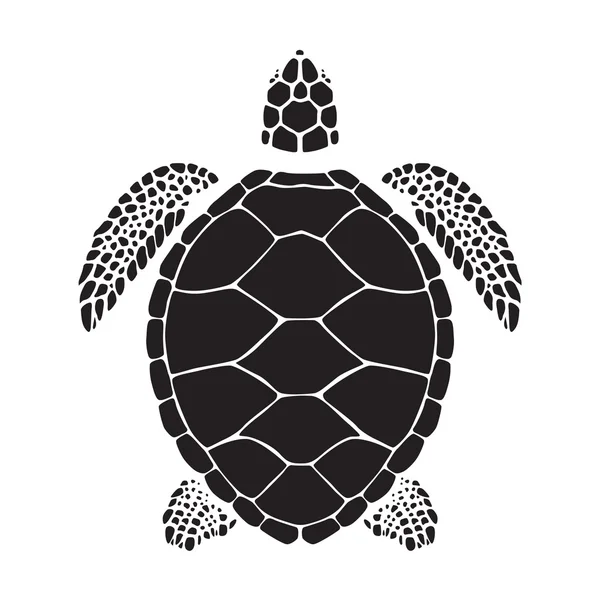 Graphic sea turtle — Stock Vector