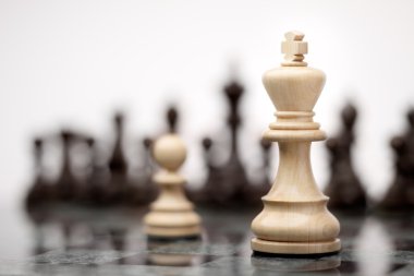 Cesur asker. Liderlik ve cesaret kavramı; satranç tahtasında beyaz bir krala karşı kalan beyaz ahşap tek piyon.