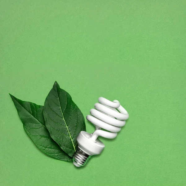 Lampadina ecologica. Natura morta creativa di lampadina a risparmio energetico con foglie come simbolo di protezione ambientale . — Foto Stock