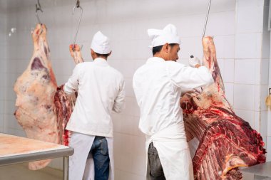 Soğuk hava deposunda asılı duran iki kasap çiğ et kesti. Bir mezbahada kesilmiş ve asılmış sığırlar, Wagyu bifteği, et endüstrisi,