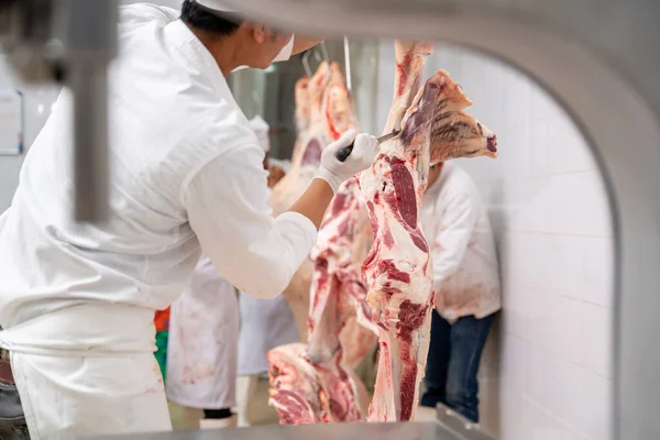 肉制品行业 屠夫切碎了挂在冷藏店里的生肉 牛犊在屠宰场的钩子上割断并挂起了鱼钩 — 图库照片