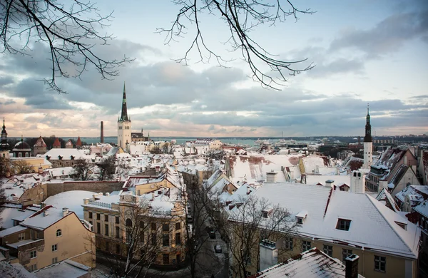 Tallinn görünüm noktasından kış Panoraması. Estonya.