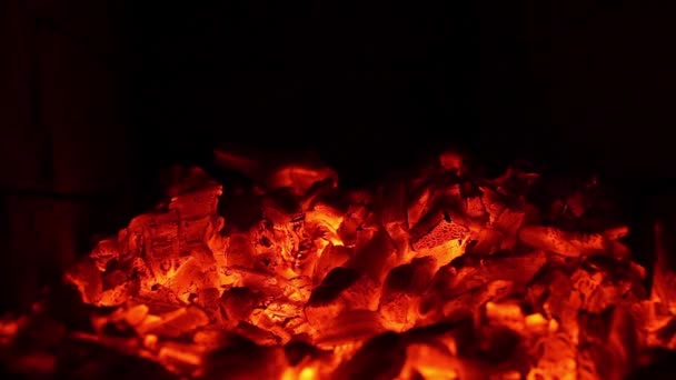 Bränner kol i elden. Rött glödande kol från brinnande ved. Kol i värmepannan. Den eldiga bakgrunden. — Stockvideo