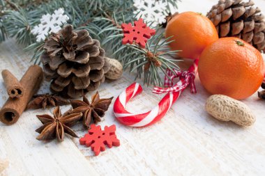 Noel koniler ve Noel ağacı dalı