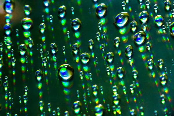 Water drops — Stock Photo, Image