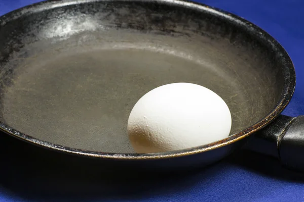Whole egg — Stock Photo, Image