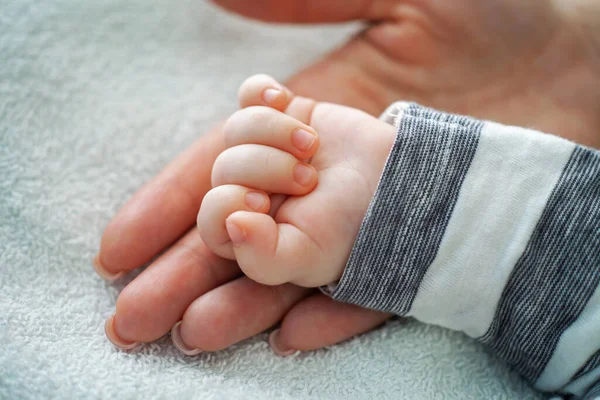 Babys Hand Mamas Hand Familienkonzept — Stockfoto