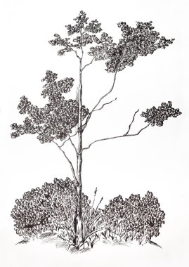 ağaç. grafik jel kalem çizim.