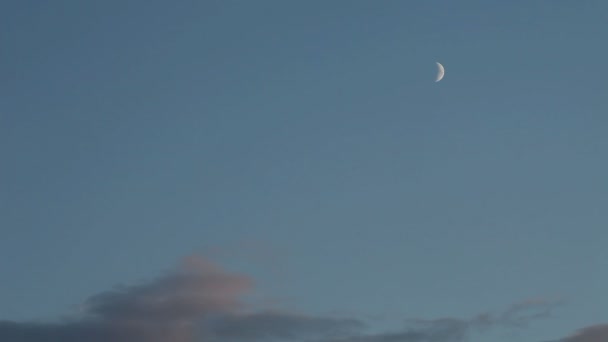 Aviones volando sobre el fondo de la luna . — Vídeo de stock