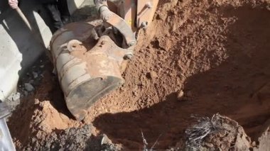 Tarak yere kazıyor. Ekskavatör kum ile çalışma.