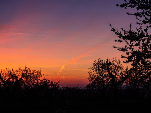 Cielo Rosso Con Nuvole Con Rami Albero Immagine Orizzontale — Foto Stock