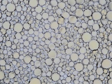 Yağ renkli baloncuklar su yüzeyinde yazıyor