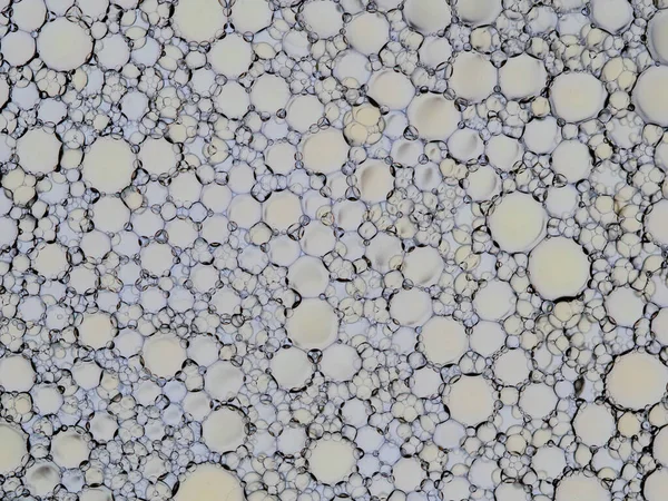 Yağ renkli baloncuklar su yüzeyinde yazıyor