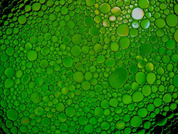 Λάδι Φυσαλίδες Του Χρώματος Πράσινο Στην Επιφάνεια Του Νερού — Φωτογραφία Αρχείου