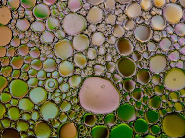 Yeşil renkli yağ kabarcıkları ve su yüzeyinde gül.