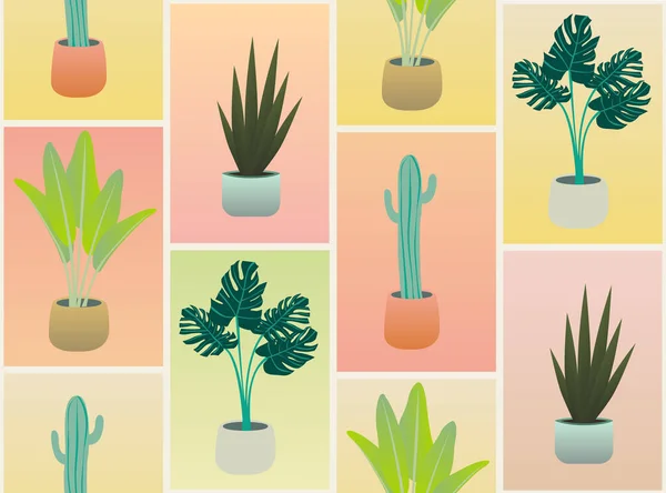 Pattern Design Flower Pots Summer Plants — Stock Vector