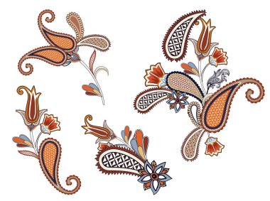 Paisley tasarımlarının elementleri