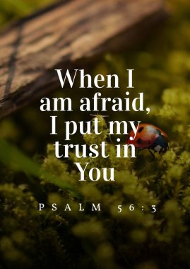 İncil 'in İnanç hakkındaki ayetleri 