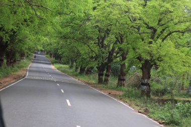 Annamalai Hills 'in Sakin Dağ Yolları, Pollachi, Hindistan