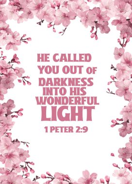 İncil 'de Tanrı' nın seni karanlıktan çağırıp muhteşem ışığına çağırdığı yazıyor. 