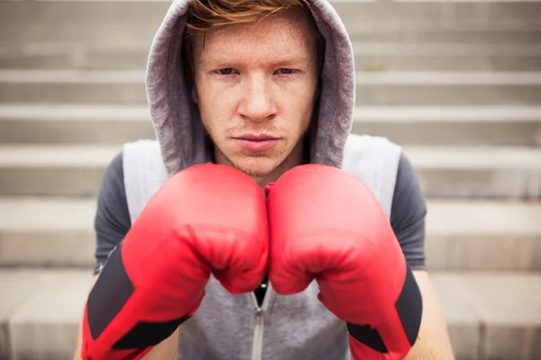 Young focused boxer — Stock Photo, Image