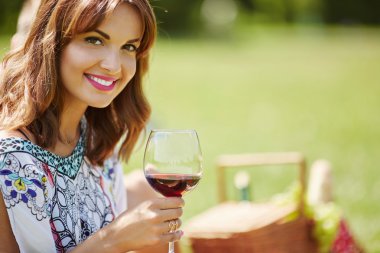 Güzel kadın pikniğe şarap içme