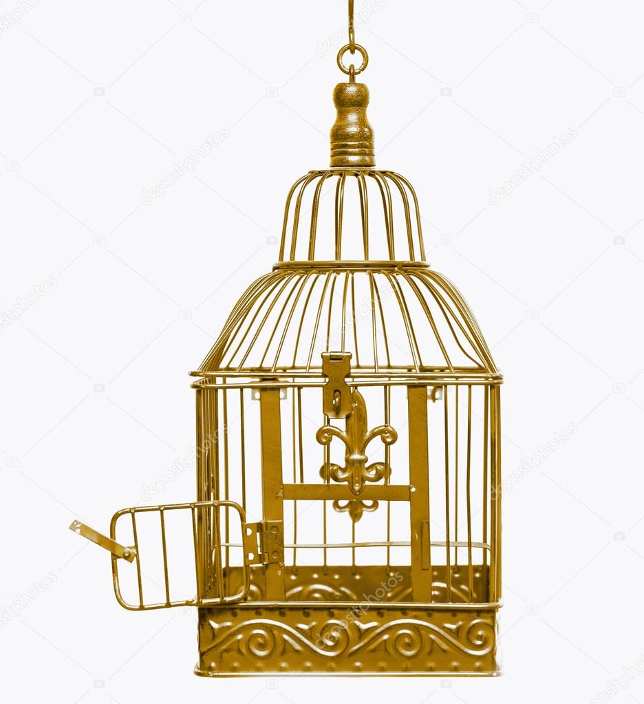 Golden open bird cage