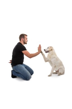 Bir köpeğe yeni numaralar öğretim