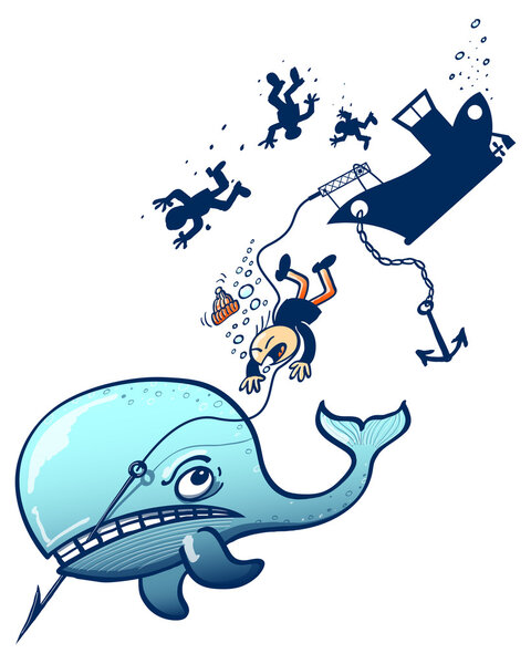 Кит защищает от охоты
