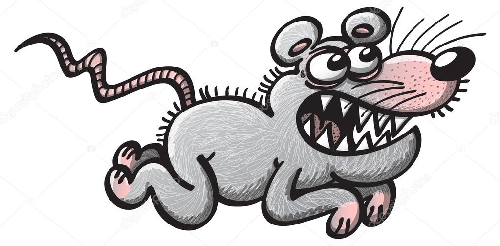 Evil gray rat pursuing a prey