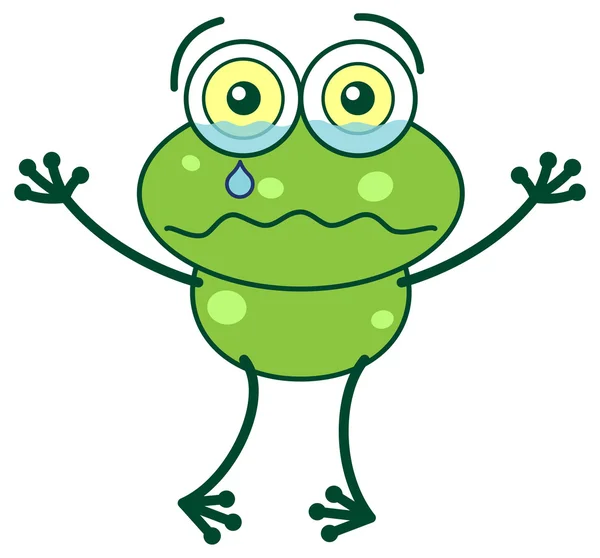 Green frog crying — Stock Vector