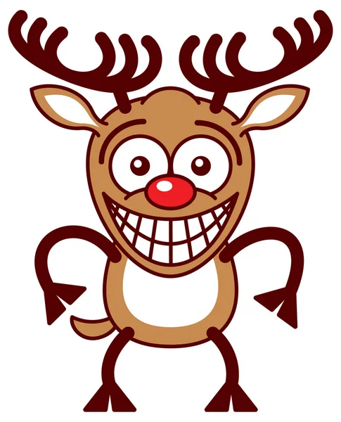 Printreindeer grinning in an embarrassed way — Stock Vector