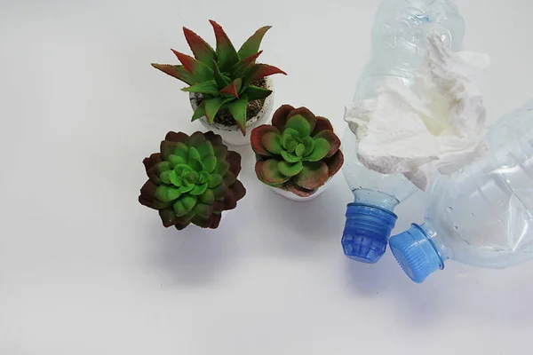 Ecologia Raccogliendo Mussorah Separatamente Riciclaggio Vetro Plastica Carta — Foto Stock