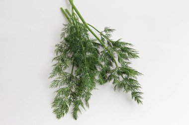 Beyaz arka planda izole edilmiş taze dereotu sürüsü