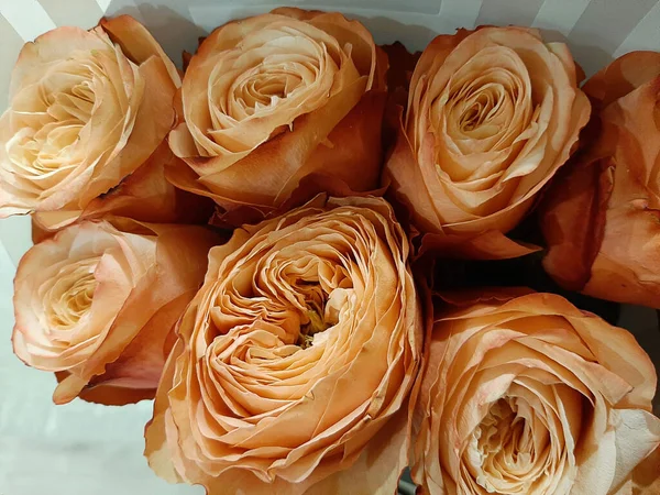 Buquê Rosas Coloridas Pêssego Estão Mesa Perto — Fotografia de Stock