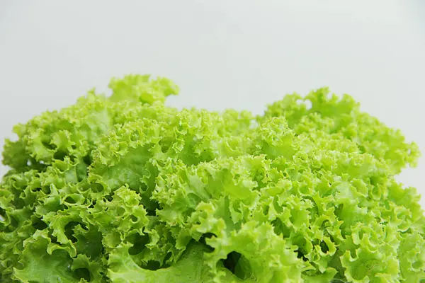 Helle Frische Salatblätter Aus Nächster Nähe — Stockfoto