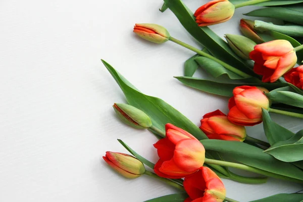 Strauß Roter Tulpen Auf Weißem Hintergrund — Stockfoto