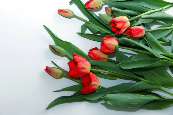 Strauß Roter Tulpen Auf Weißem Hintergrund — Stockfoto