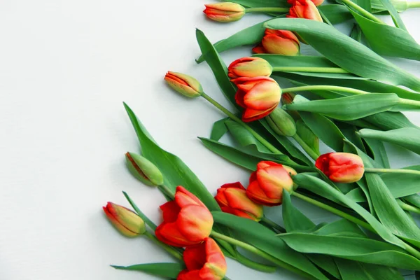 Tulipanes Rojos Yacen Sobre Fondo Claro — Foto de Stock