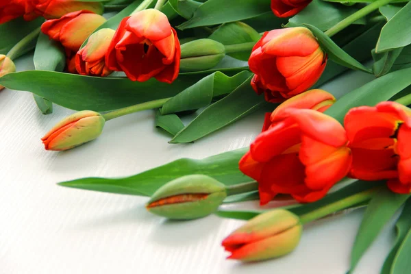 Rote Tulpen Liegen Auf Hellem Hintergrund — Stockfoto