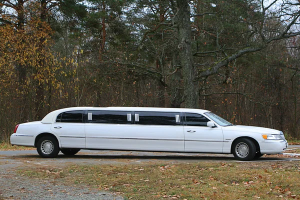 Limusina Boda Blanca Con Ventanas Panorámicas Tintadas Lincoln Coche Ciudad Imágenes de stock libres de derechos