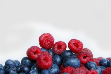 Beyaz arka planda taze ahududu ve yaban mersini. Yaban mersini ve ahududu ağaçtan bir arka planda.