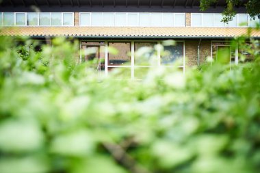 Binanın önündeki kayın çitinin yakınına.