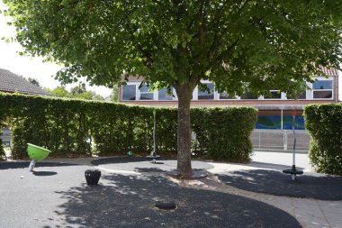 Okul bahçesinde yeşil ağaç ve yazın okul.