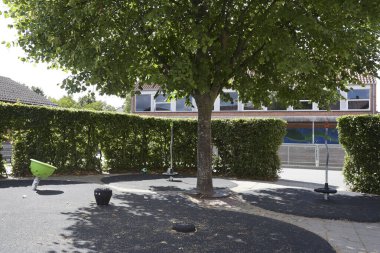 Okul bahçesinde yeşil ağaç ve yazın okul.