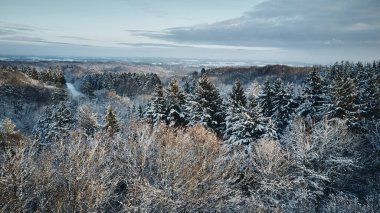 Kışın orman kar duvar kağıdıyla kaplıdır.