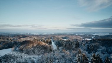 Kışın orman kar duvar kağıdıyla kaplıdır.