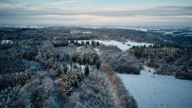 Kışın, kar duvar kağıtlarıyla kaplı güzel bir orman.