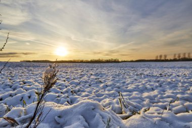 Büyük bir tarlada gün batımında beyaz kar